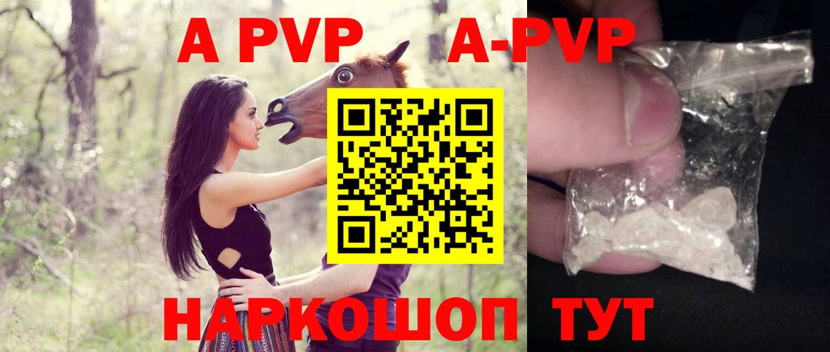 A-PVP СК КРИС Бийск